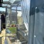 Pergola cover Image 4