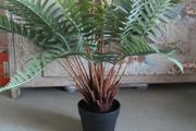 stunning large Artificial fern