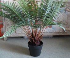 stunning large Artificial fern