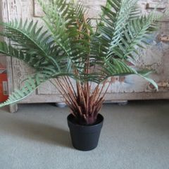 stunning large Artificial fern