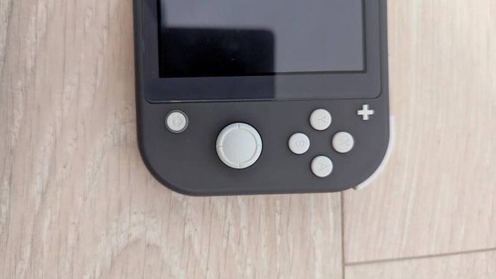Nintendo switch lite