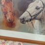 Red rum .arkle and desert orchid picture Image 2