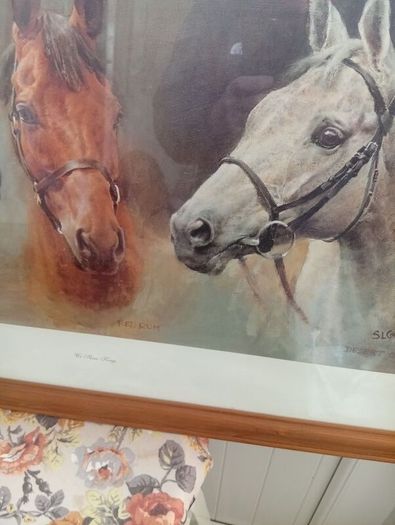 Red rum .arkle and desert orchid picture