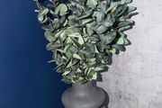 Vase &amp; Stems