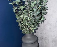 Vase & Stems