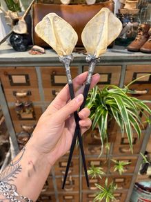 1 Soldered Witchy Odd Badger Scapula Bone Hair Pins