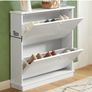 Shoe cabinet with 2 flaps Image 5