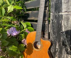 Rare Cordoba Fusion 12 Orchestra CE  Luthier (Derrick Nelson)
