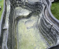 Pond