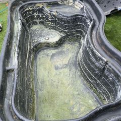 Pond