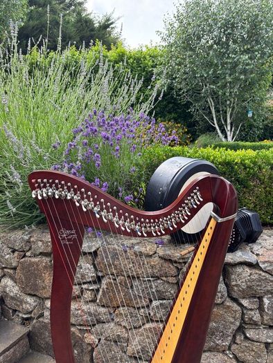 Harp