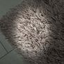 Rug Image 2