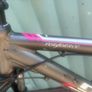 Ladies Carrera Mountain Bike with suspension. Image 5