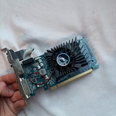 ASUS GeForce GT 610 (1GB) Graphics Card  Working