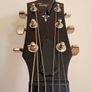 Taylor 414CE-R - Semi Acoustic Image 6