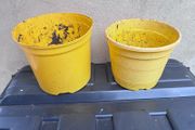 2 yellow plastic flower pots