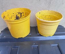 2 yellow plastic flower pots