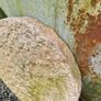 Mill stones Image 6