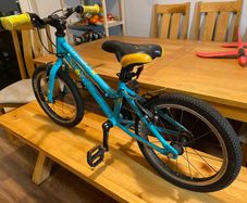 Carrera Kids Bike