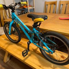 Carrera Kids Bike