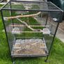 bird Image 3