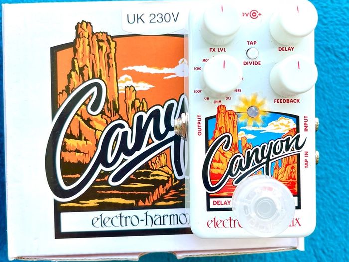 Electro Harmonix Canyon, Delay and Looper pedal.
