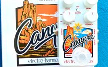Electro Harmonix Canyon, Delay and Looper pedal.