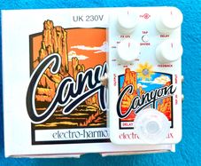 Electro Harmonix Canyon, Delay and Looper pedal.