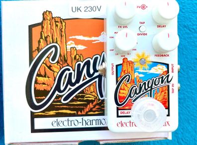 Electro Harmonix Canyon, Delay and Looper pedal.