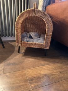 small dog/ cat bed