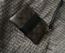 coach money pouch