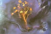 The Moody Blues - On The Threshold Of A Dream