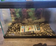 17l aquarium