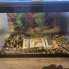 17l aquarium