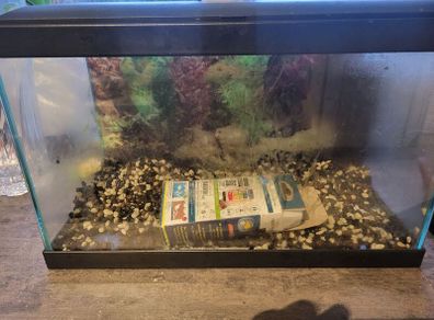 17l aquarium