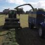 Claas Jaguar 860 Image 5
