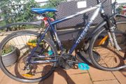 trek hybrid  serviced