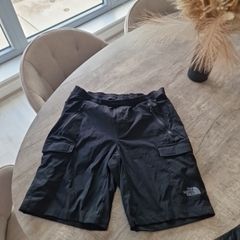 north face mens shorts