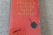The Diary of Adrian Mole Aged 13 3/4 by Sue Townsend in good used condition see photos FREE STANDARD POSTAGE INCLUDED