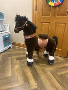 Pony Cycle