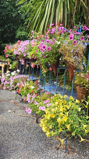 Hanging Baskets, Wall Cones