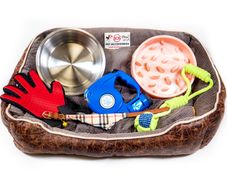 Puppy Starter Pack