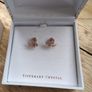 Tipperary Crystal Leaf Chain Earrings Set Image 2