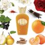Dolce Melodia by Sospiro Perfumes Image 4