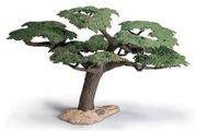 Retired Scheich Tree