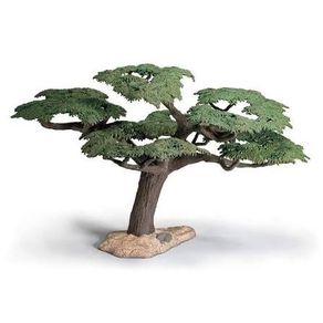 Retired Scheich Tree