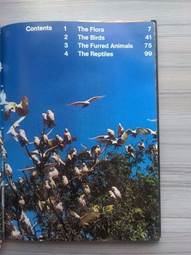 The Nature of Australia Michael Morcombe