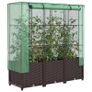 Raised Garden Bed with Greenhouse Cover Image 3