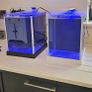 Fluval spec (White) Image 5
