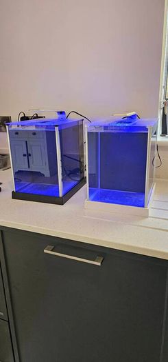 Fluval spec (White)